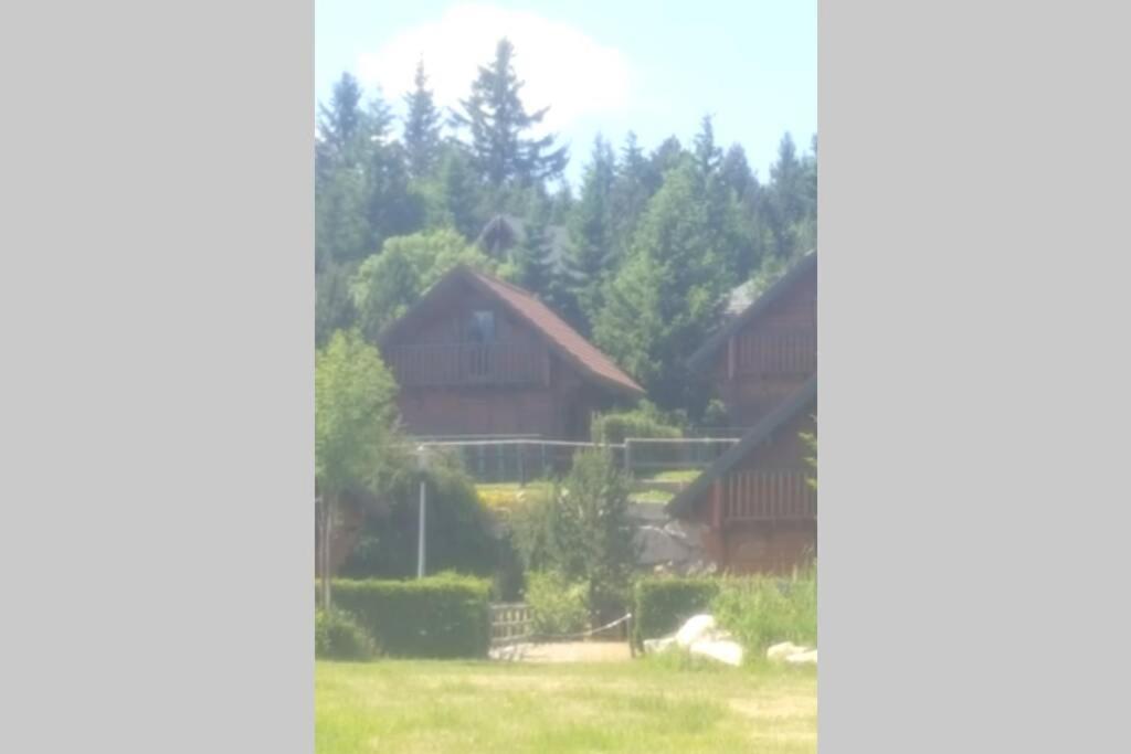 Maison De Bois Finlandaise Au Pied Des Pistes Bolquere Экстерьер фото